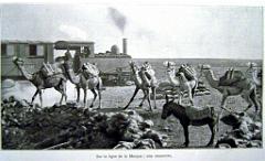 Illustration 1910- 003